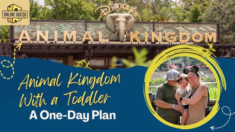 Animal Kingdom With a Toddler: A One-Day Plan