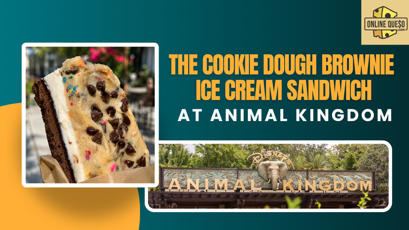 The Cookie Dough Brownie Ice Cream Sandwich at Animal Kingdom