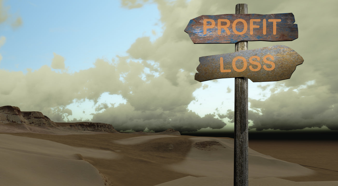 Is your CS department a profit center?